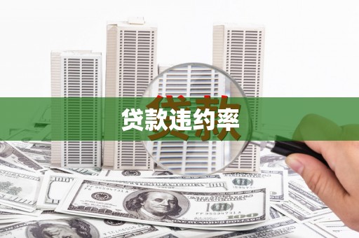余杭贷款违约率