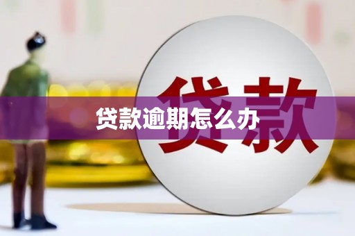 余杭贷款逾期怎么办