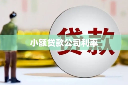 余杭小额贷款公司利率