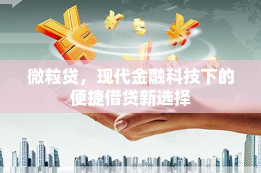 余杭微粒贷，现代金融科技下的便捷借贷新选择