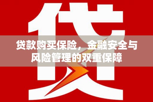 余杭贷款购买保险，金融安全与风险管理的双重保障