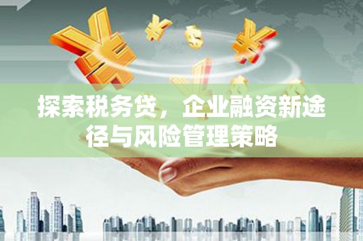 余杭探索税务贷，企业融资新途径与风险管理策略