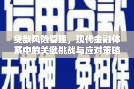 余杭贷款风险管理，现代金融体系中的关键挑战与应对策略