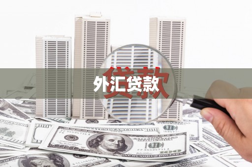 余杭外汇贷款