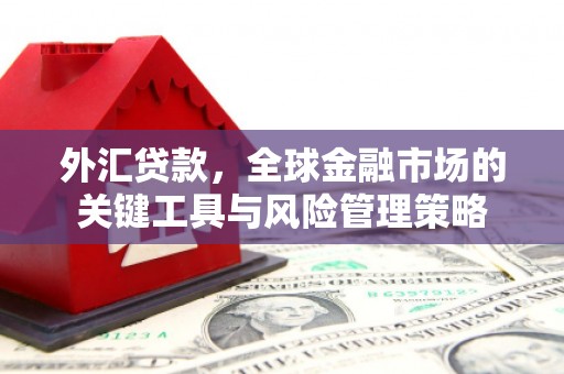 余杭外汇贷款，全球金融市场的关键工具与风险管理策略