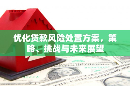 余杭优化贷款风险处置方案，策略、挑战与未来展望