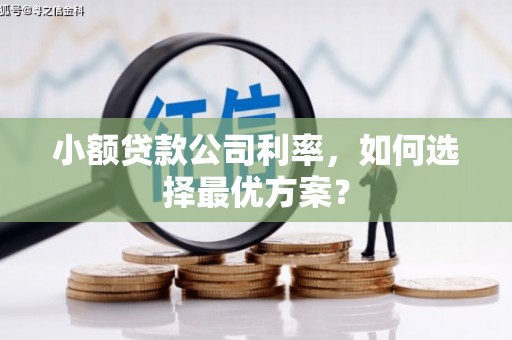 余杭小额贷款公司利率，如何选择最优方案？