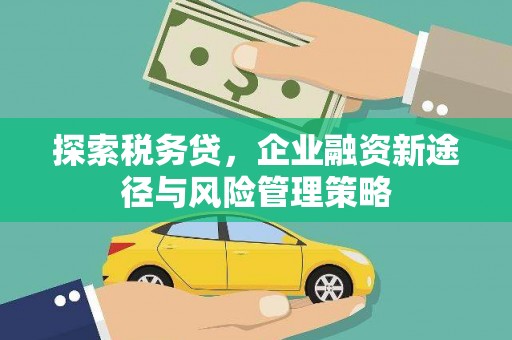 余杭探索税务贷，企业融资新途径与风险管理策略