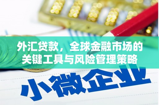 余杭外汇贷款，全球金融市场的关键工具与风险管理策略