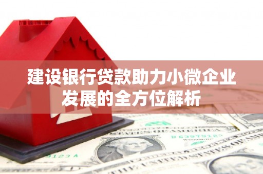 余杭建设银行贷款助力小微企业发展的全方位解析