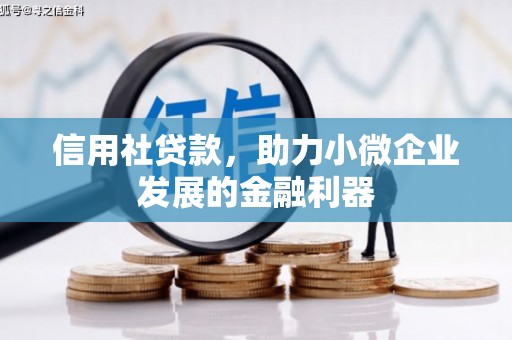 余杭信用社贷款，助力小微企业发展的金融利器