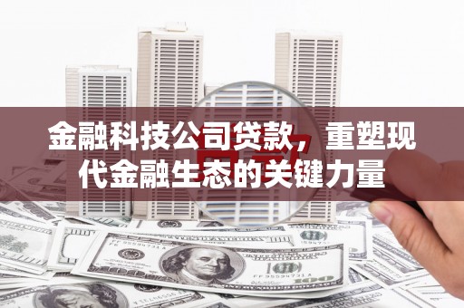 余杭金融科技公司贷款，重塑现代金融生态的关键力量