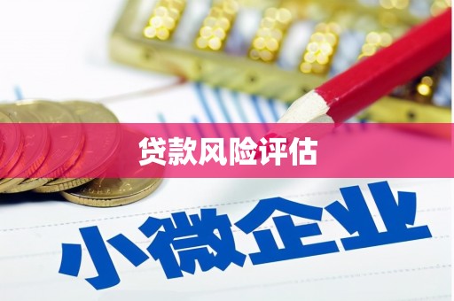 余杭贷款风险评估