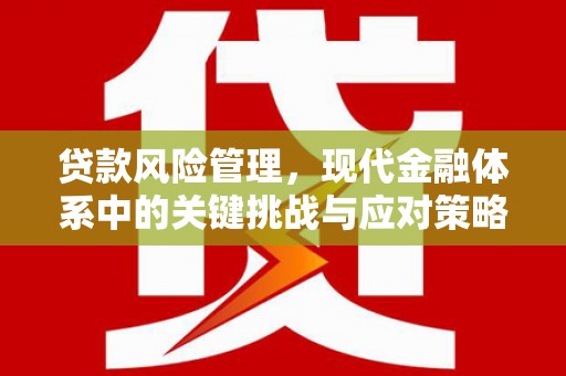 余杭贷款风险管理，现代金融体系中的关键挑战与应对策略