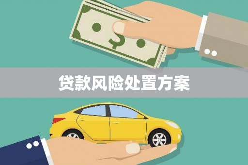 余杭贷款风险处置方案