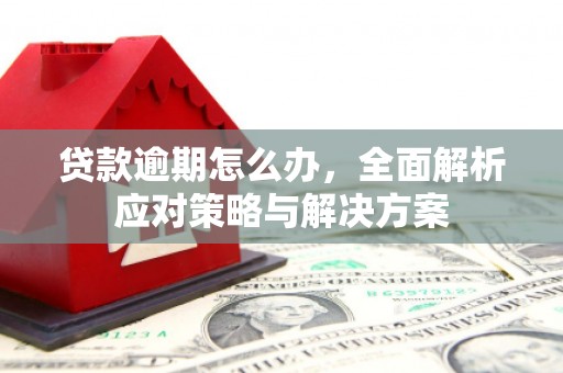 余杭贷款逾期怎么办，全面解析应对策略与解决方案
