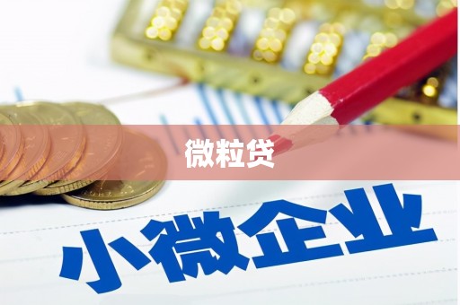 余杭微粒贷